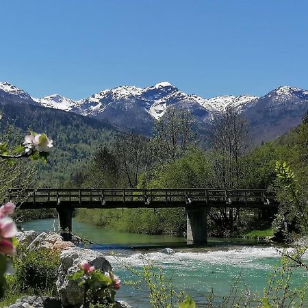 Apartma In Sobe Pr'Objan Bohinj Exterior foto