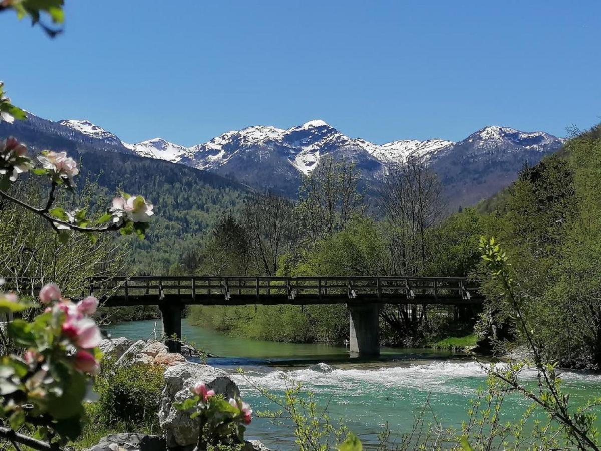 Apartma In Sobe Pr'Objan Bohinj Exterior foto