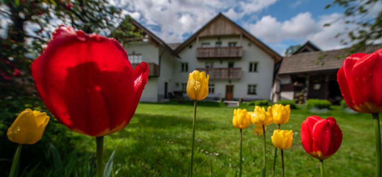 Apartma In Sobe Pr'Objan Bohinj Exterior foto